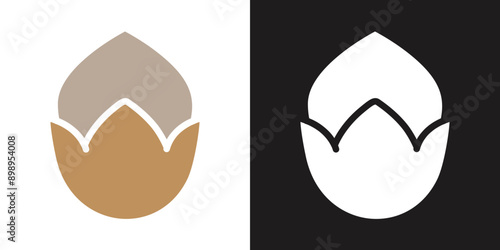 Hazelnut icon Flat set in black and white color outline vector