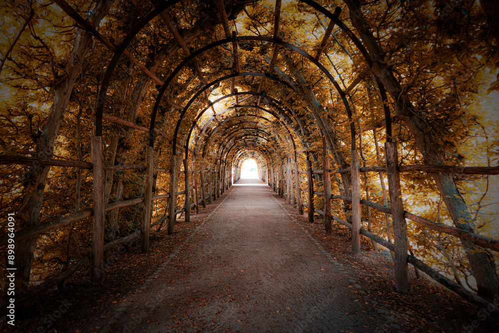Charming Forest Tunnel of Branches and Trees, Rustic Autumn Path with Canopy of Leaves, Light and Shadows Creating a Tranquil Atmosphere for Nature Walks, parks and green spaces Outdoors Charming Forest Tunnel of Branches and Trees, Rustic Autumn Path with Canopy of Leaves, Light and Shadows Creating a Tranquil Atmosphere for Nature Walks, parks and green spaces Outdoors