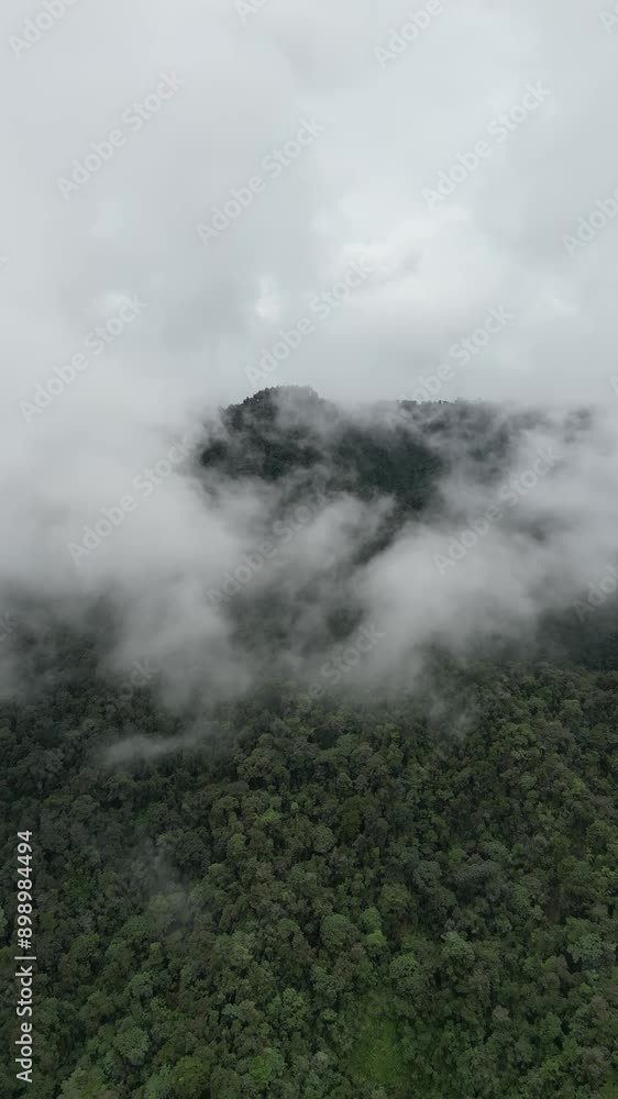 fog in the mountains fog in the mountains