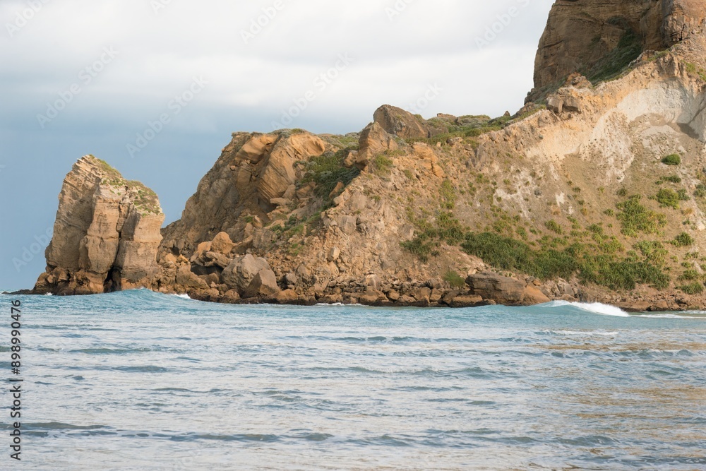 Fototapeta premium Waves hitting the Castlepoint reef