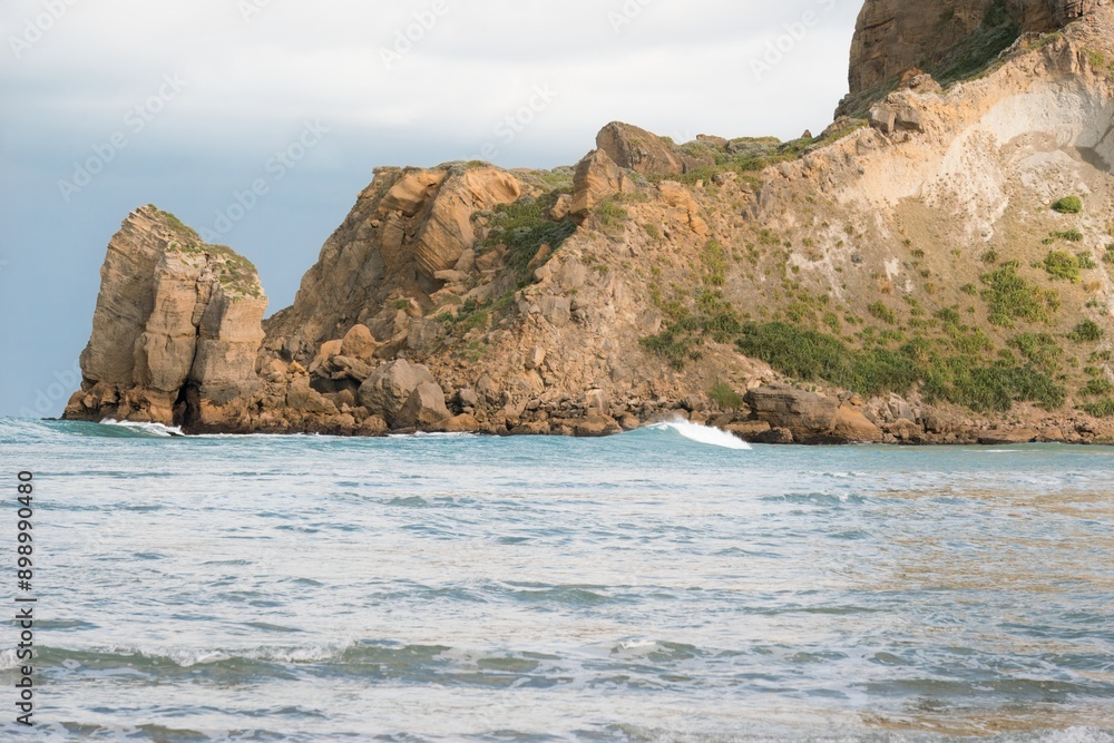 Fototapeta premium Waves hitting the Castlepoint reef