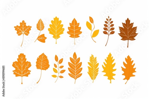 A collection of diverse leaves, featuring various shapes and textures