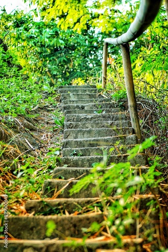 a ladder among the grass