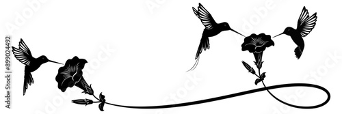 hummingbird and flower vector