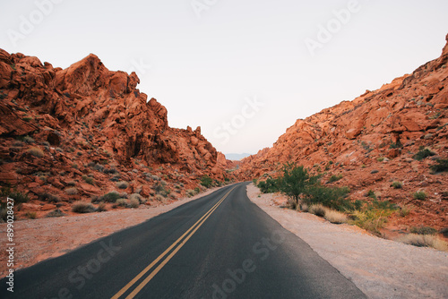 road in Nevada