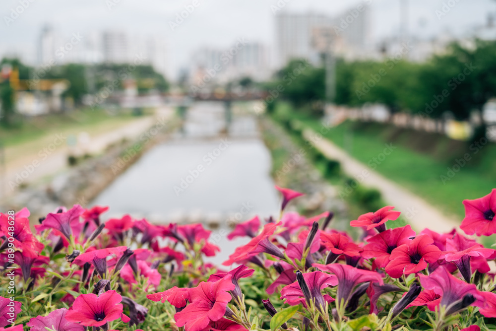 Summer of Soje-dong Street in Daejeon, Korea