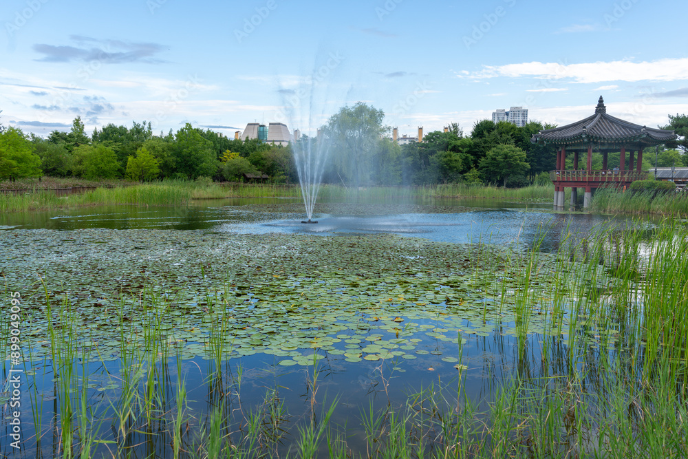 Hanbat Arboretum summer garden in Daejeon, Korea
