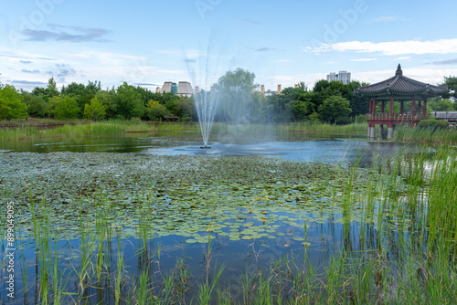 Hanbat Arboretum summer garden in Daejeon, Korea
