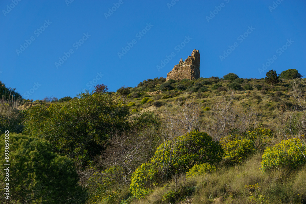 Green coastal landscape at nature reserve of Torre Salsa with ancient watch tower ruin on a sunny day, Sicily, Italy Green coastal landscape at nature reserve of Torre Salsa with ancient watch tower ruin on a sunny day, Sicily, Italy