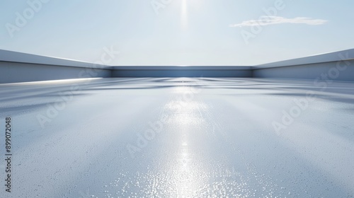 Apply a waterproof coating to flat roofs--style raw