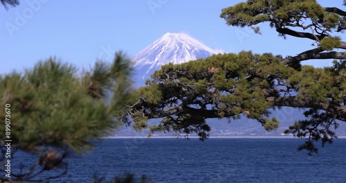 Mt.Fuji and Pine tree near Suruga bay in Numazu Shizuoka telephoto shot photo