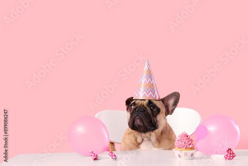 Cute French bulldog in part...