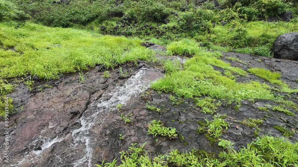 A peaceful stream flows over rocky terrain in a lush green landscape during the early morning hours A peaceful stream flows over rocky terrain in a lush green landscape during the early morning hours