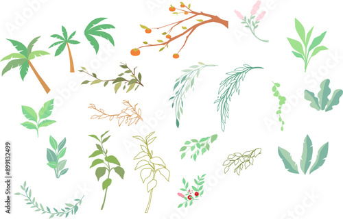 Plants, seasons, leaves,