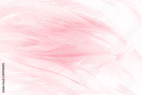 Beautiful soft pink feather pattern texture background