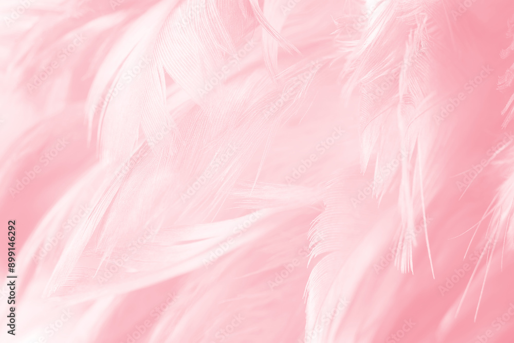 Beautiful soft pink feather pattern texture background Beautiful soft pink feather pattern texture background