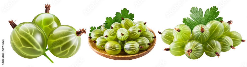 Set of Fresh Green Gooseberries collection cut out transparent isolated on white background PNG Set of Fresh Green Gooseberries collection cut out transparent isolated on white background PNG