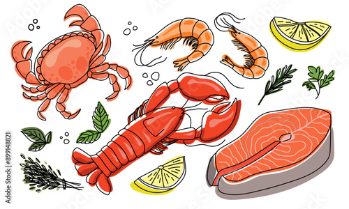 Seafood illustration vector set. Shrimp, salmon slice, crab, lobster. Hand drawn vector set