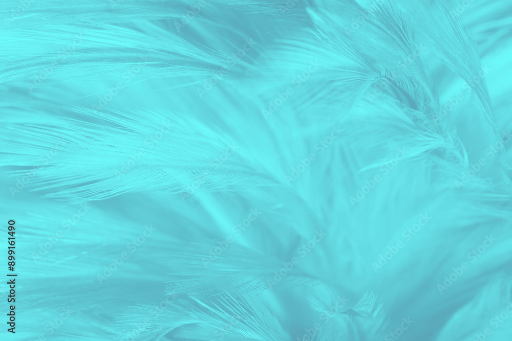 Fototapeta premium Beautiful green turquoise vintage color trends feather pattern texture background