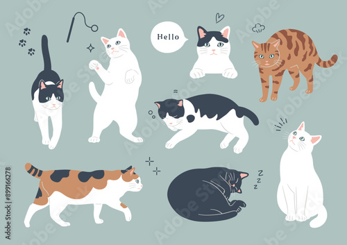 いろんな柄とポーズの猫のイラスト