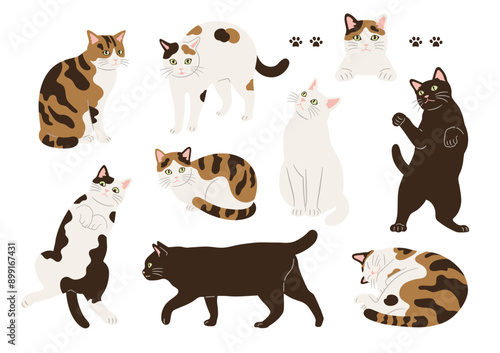 いろんな柄とポーズの猫のイラスト