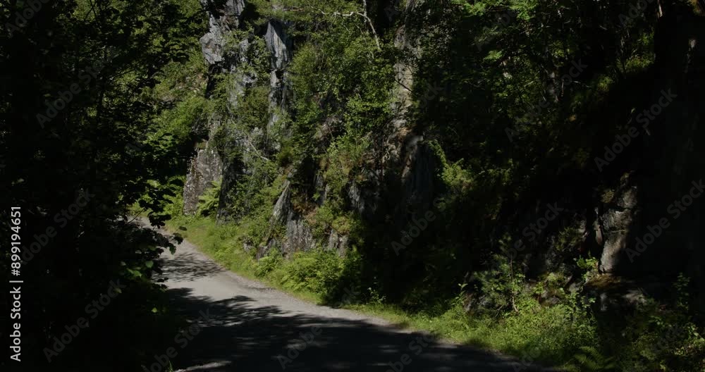 Summer in Norway. Road to the mountains, forest, small waterfalls.