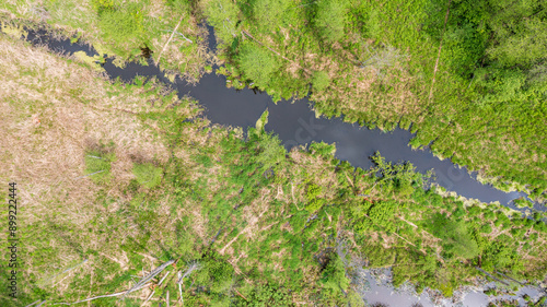 Obraz na płótnie Aerial view of forest river with dead tree along w salonie
