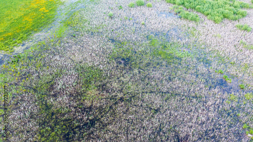 Springtime flooding meadow nearby Hajnowka photo