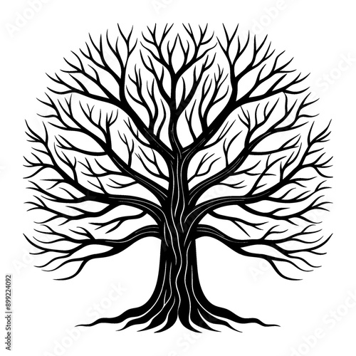 Bare-branched winter trees Silhouette graphic in vector format.