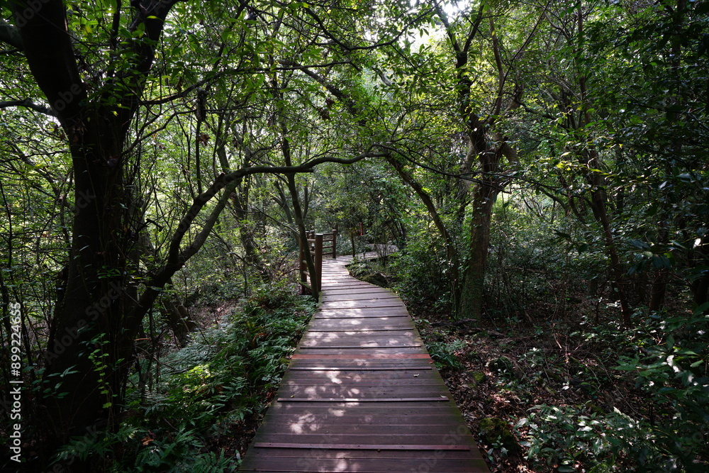 refreshing walkway in the gleaming sunlight