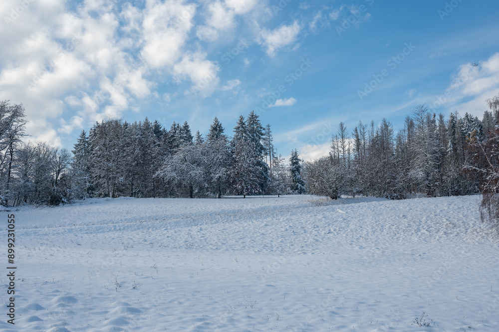 Winter landscape with a lot of snow, some trees and a blue sky