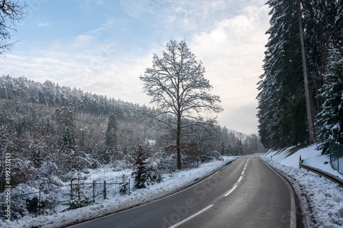 Snow landscape with trees, road and blue sky photo