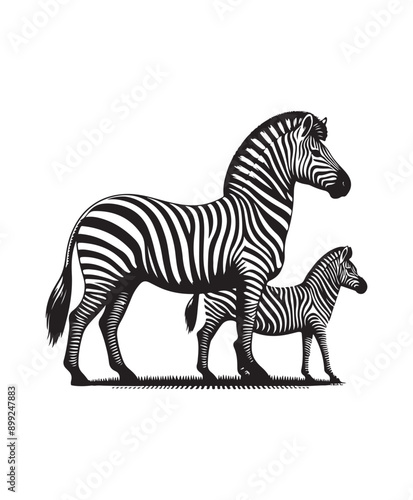 zebra vector art,graphics zebras icons set,vintage illustration zebra clipart,vector zebras flat style artwork design © T-shirt_Design_62