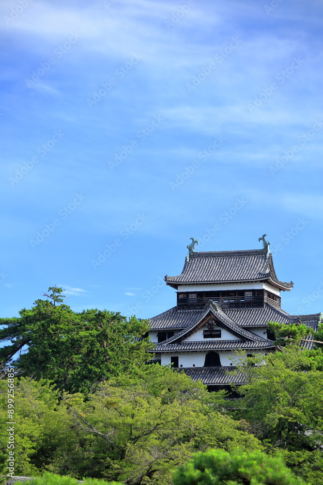 島根県にある青空が広がる夏の松江城 島根県にある青空が広がる夏の松江城