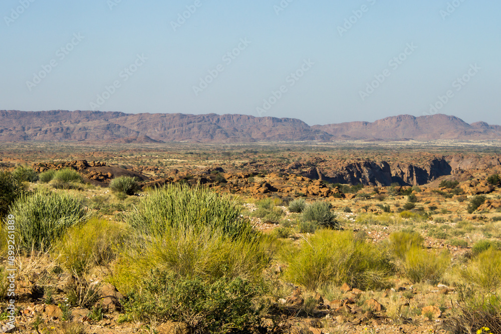 Xeric scrubland in the arid environment of the Nama-karoo, Xeric scrubland in the arid environment of the Nama-karoo,