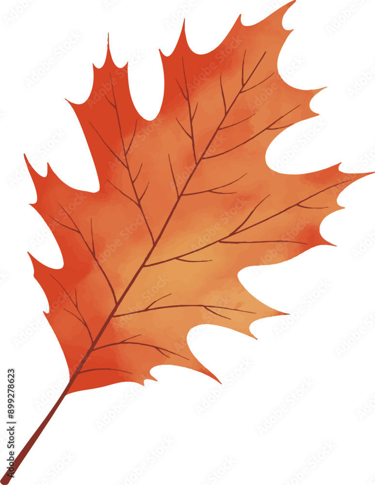 Fototapeta premium Autumn red leaves illustration vector