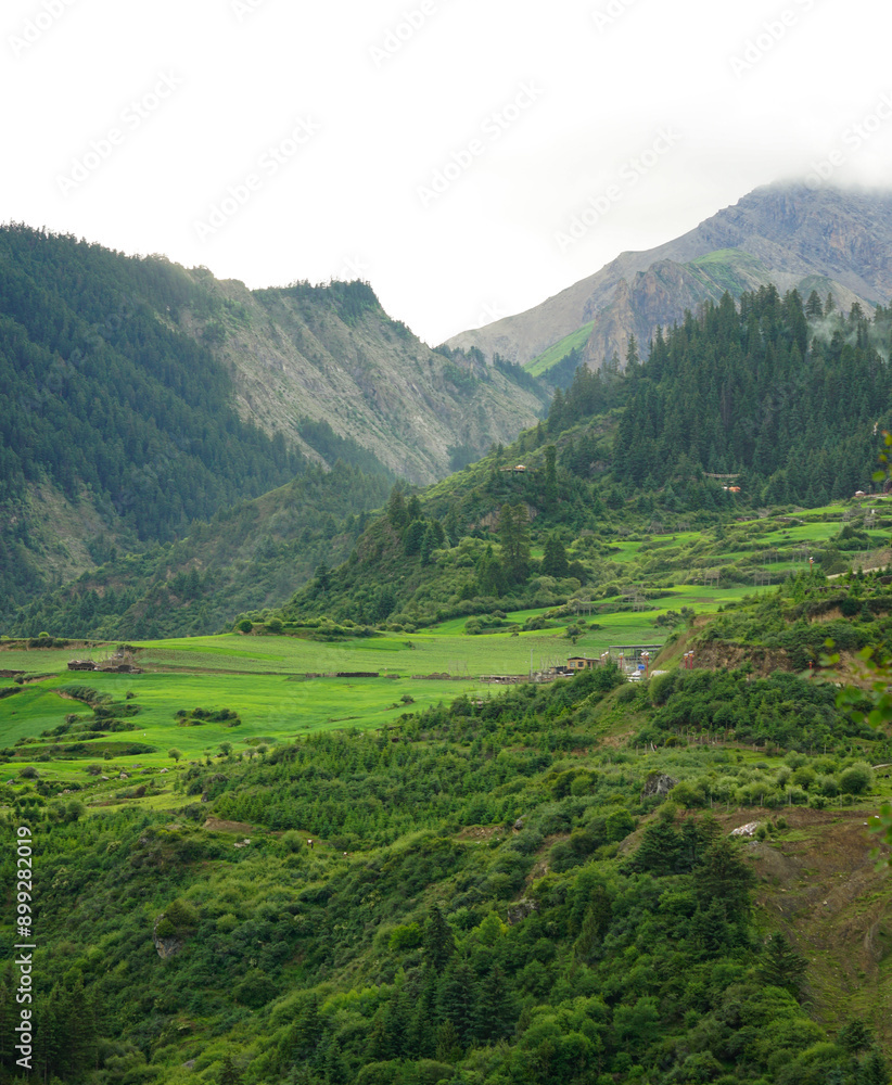 Obraz premium Zagana