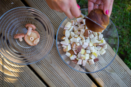 clean freshly dried edible mushrooms photo