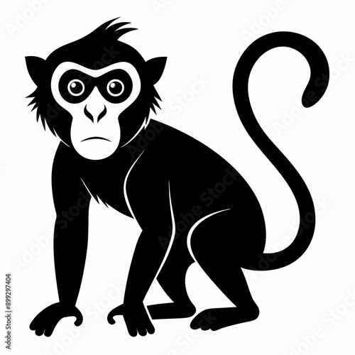 Monkey silhouettes on white background.