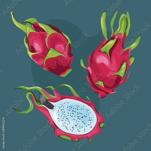 Set of red dragon fruit isolated on white background. Whole and slice pitahaya for restaurant menu, market. Vector illustration. 