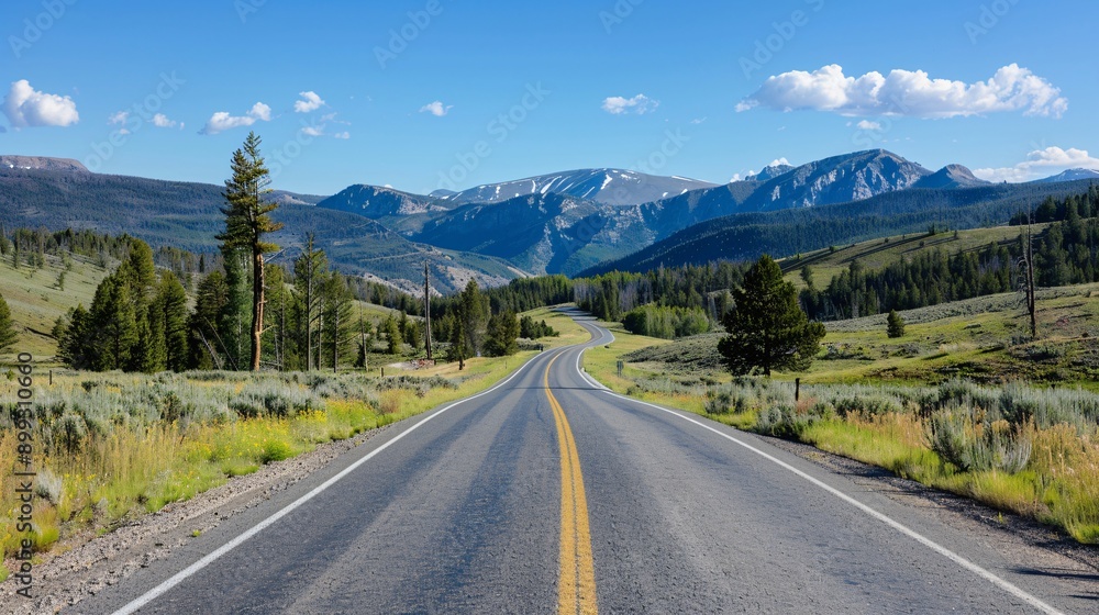 Fototapeta premium A_scenic_drive_through_Yellowstones