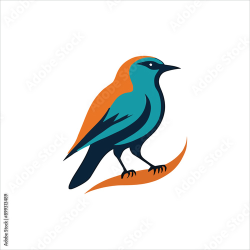 colibri logo design. colorful icon for business, education and natural company illustration
