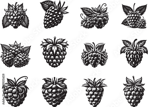 Raspberry Fruits Silhouette Vector Illustration
