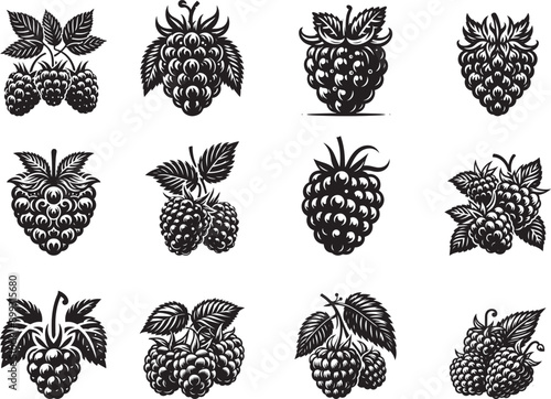 Raspberry Fruits Silhouette Vector Illustration