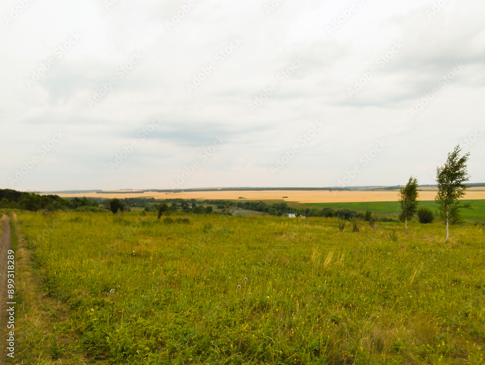 Rural Landscape With a Dirt Road and Distant Field Rural Landscape With a Dirt Road and Distant Field