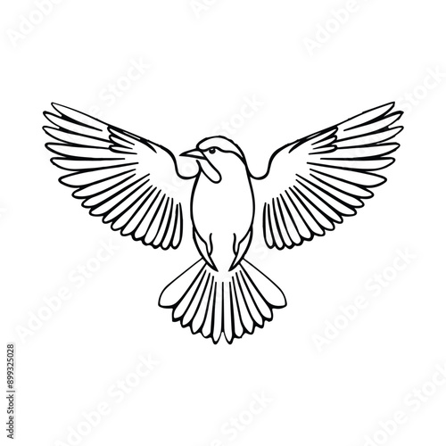 Bird Outline Style Silhouette Vector