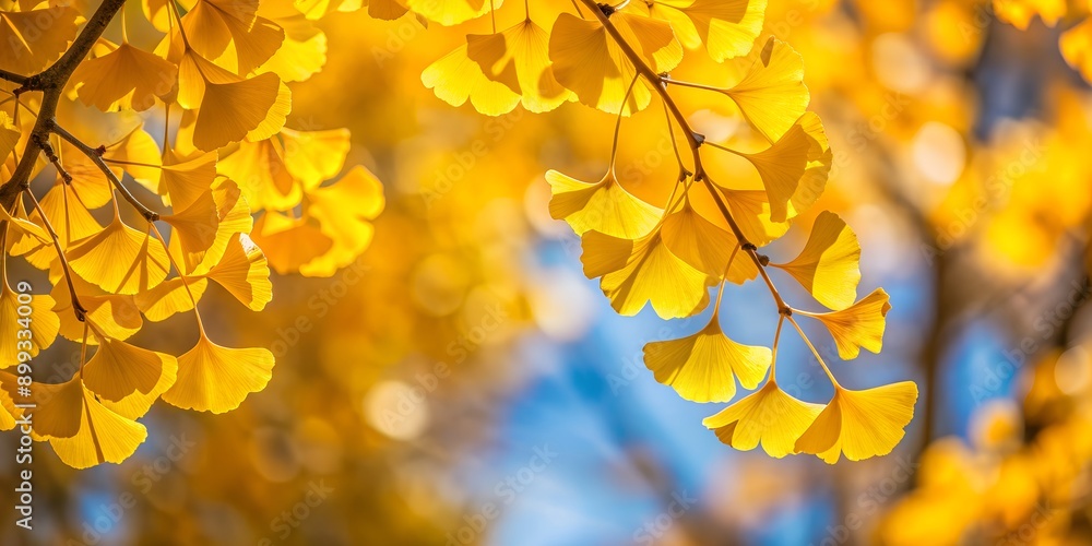 Yellow autumnal leaves of ginkgo balboa tree AI Generative Yellow autumnal leaves of ginkgo balboa tree AI Generative