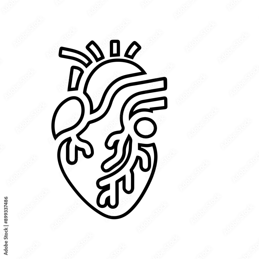 Human heart anatomy flat design