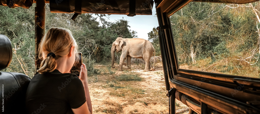 Φωτογραφία Wildlife safari