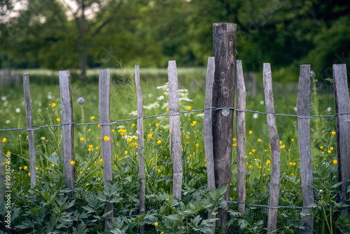 fence and grass with yellow flowers